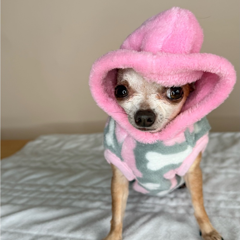 ✨ Pink & Gray Fleece Hoodie Dog Jacket – Size XS ✨